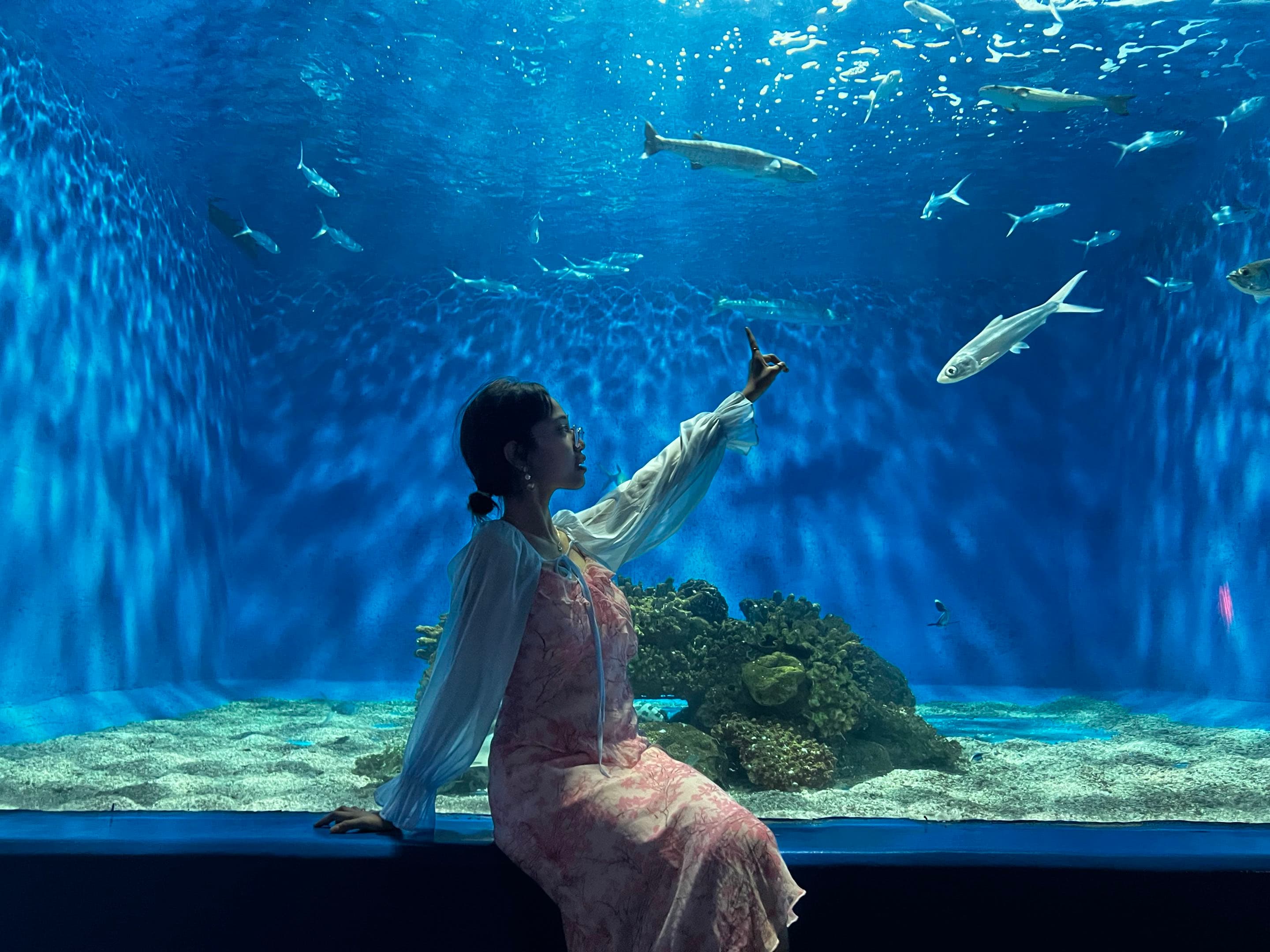 Myle at an aquarium