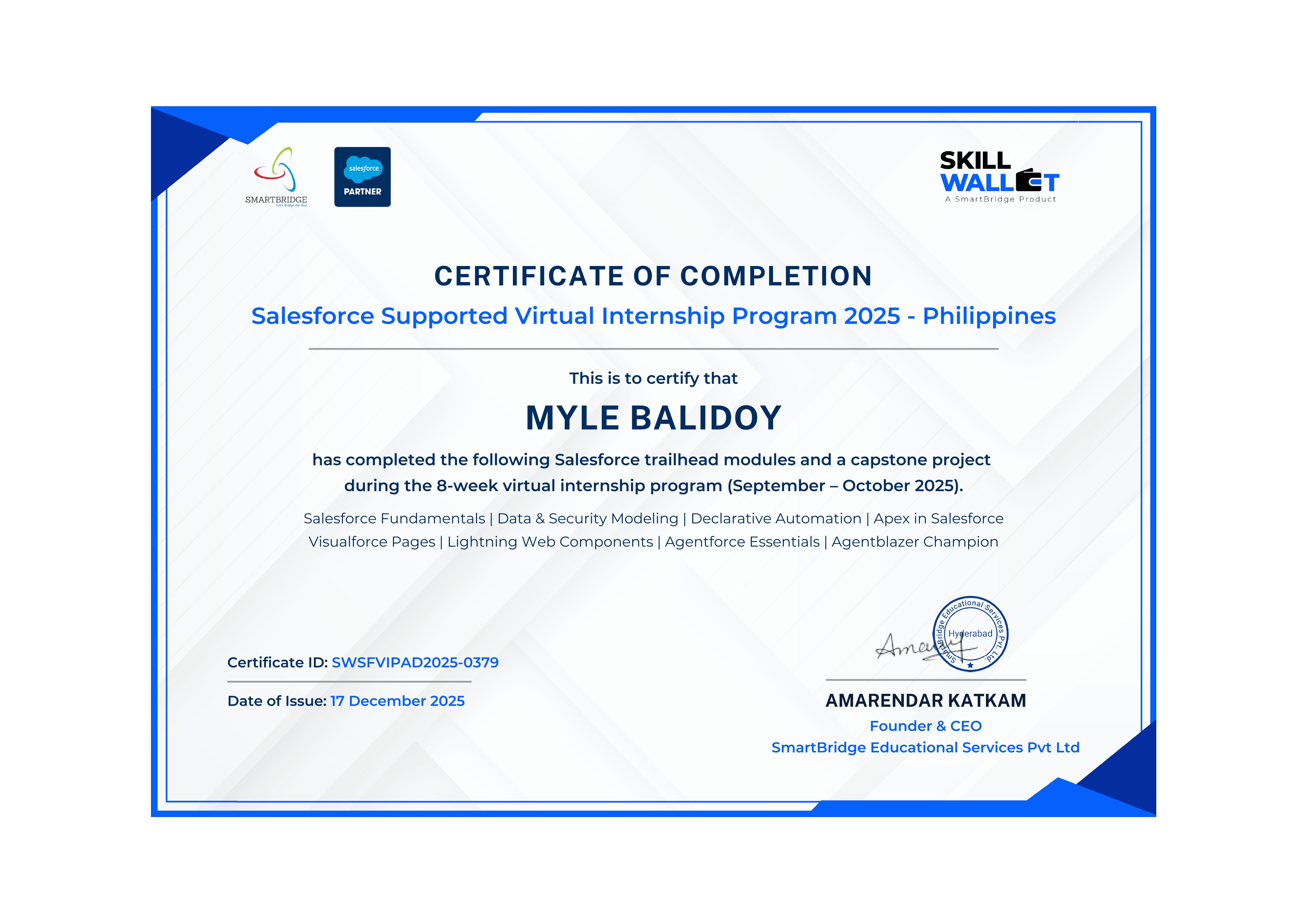 Salesforce Supported Virtual Intern