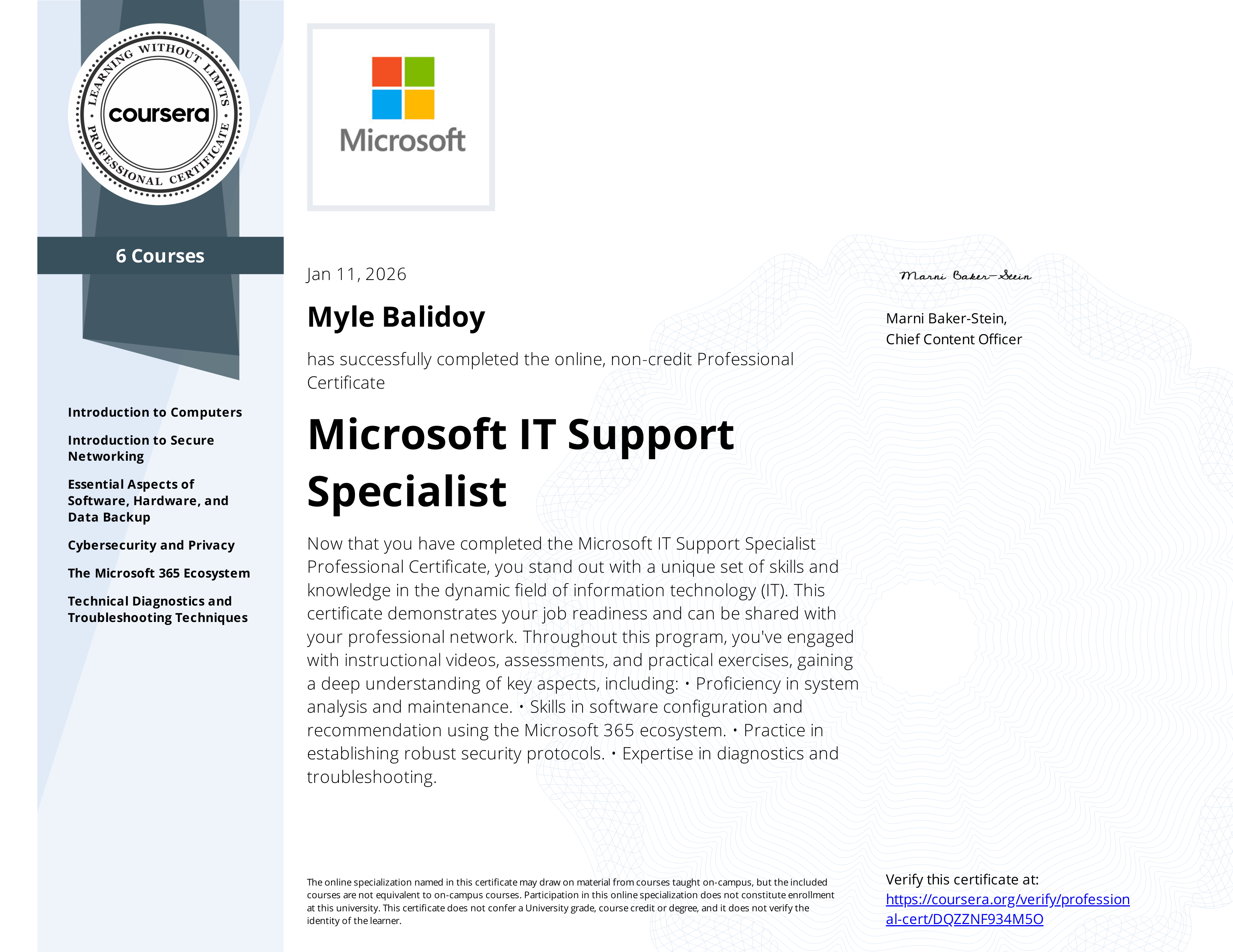 Microsoft IT Support Specialist